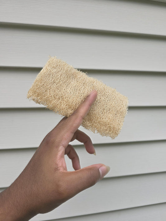 Natural Sponge Luffa - Natural Skin Care - Exfoliating Sponge - Compostable Exfoliator - Eco-Friendly - Zero-Waste