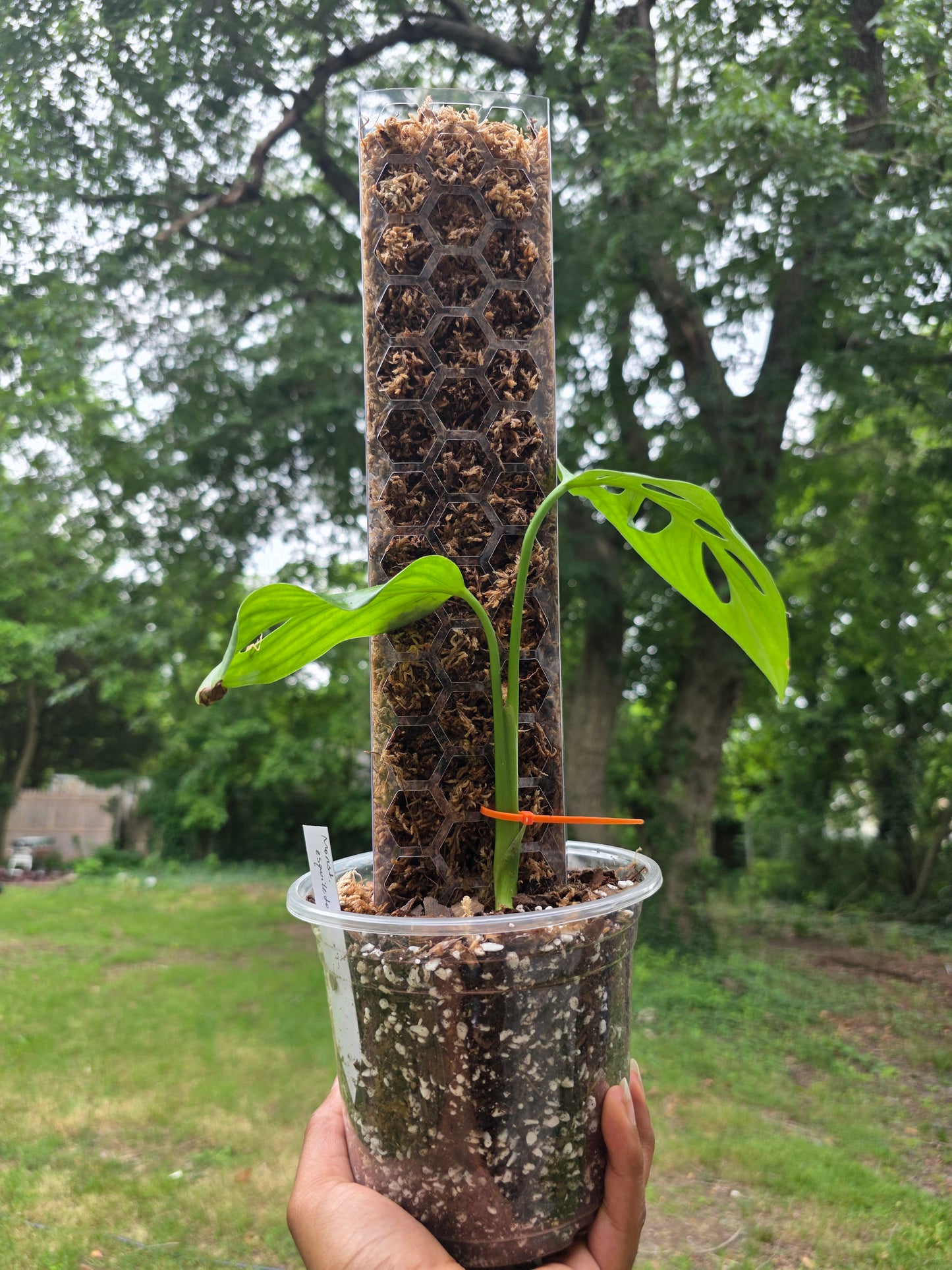 Reusable & Stackable Moss Pole