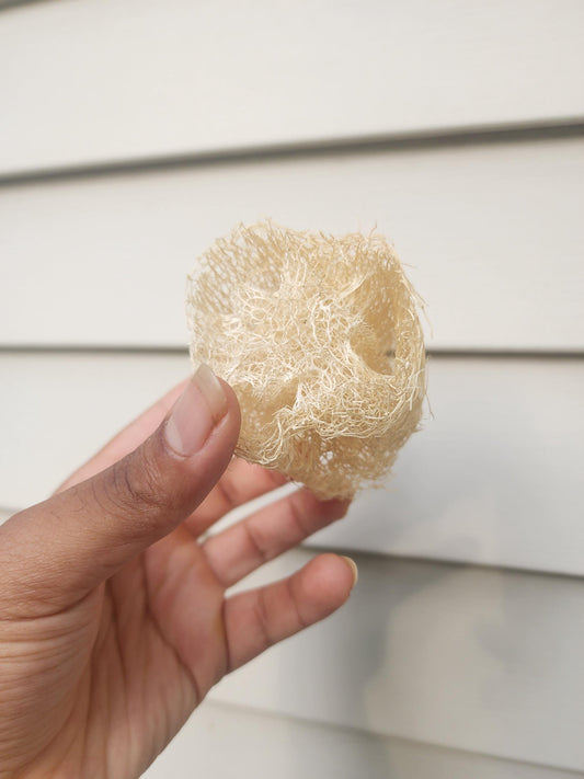 Natural Sponge Luffa - Natural Skin Care - Exfoliating Sponge - Compostable Exfoliator - Eco-Friendly - Zero-Waste